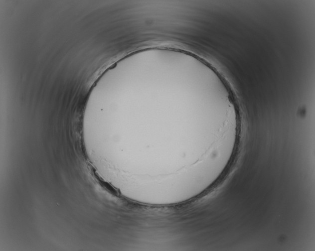 X0000115841001200912242013