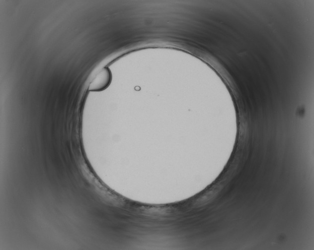 X0000115841004200912242013