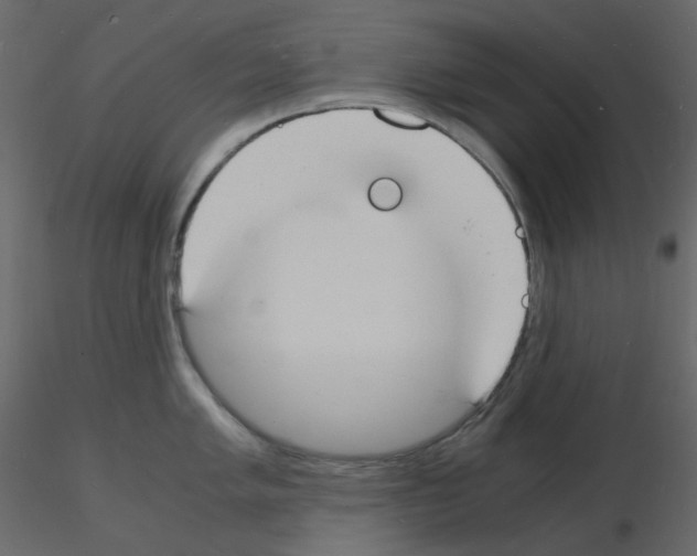 X0000115841005200912242013