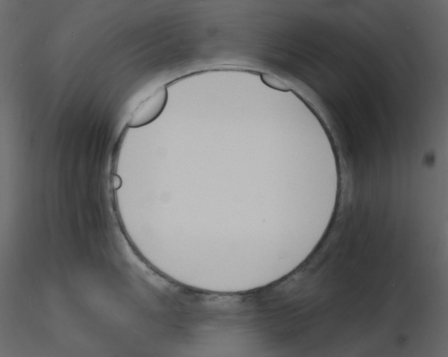 X0000115841006200912242013