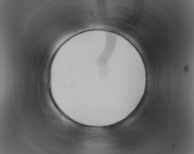 X0000115841007200912242013