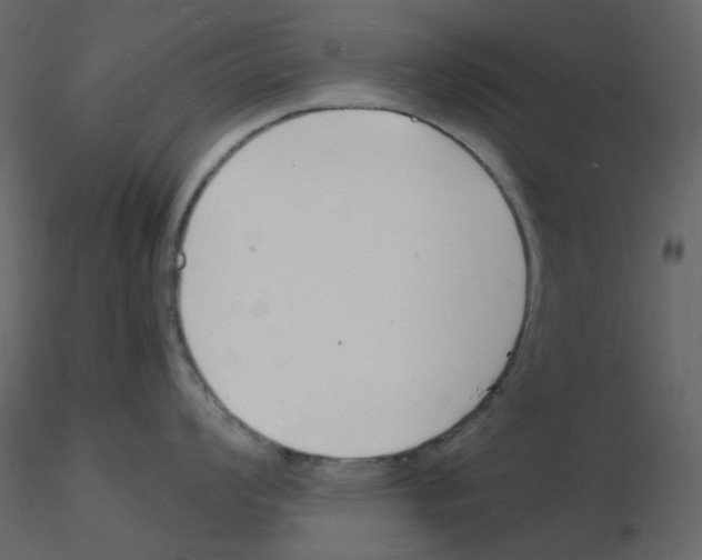 X0000115841008200912242013