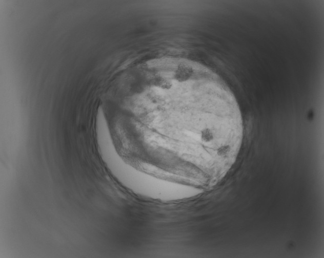 X0000115841009200912242012