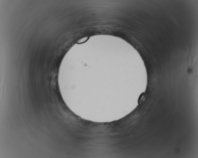 X0000115841010200912242012