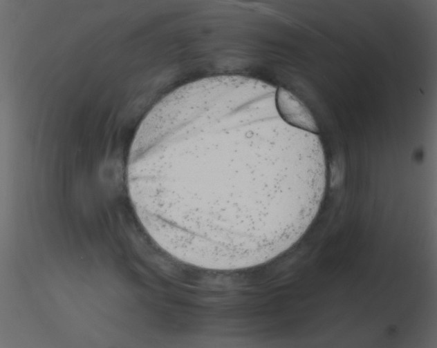 X0000115841011200912242012