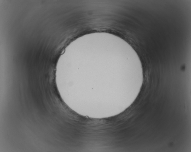 X0000115841012200912242012