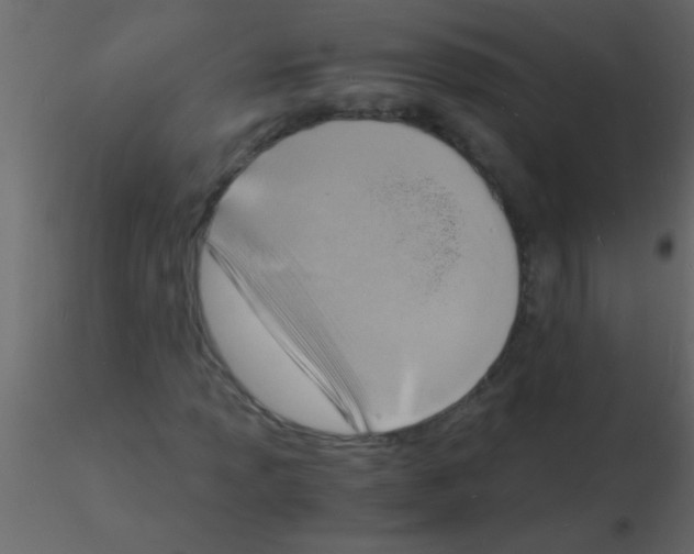 X0000115841013200912242012