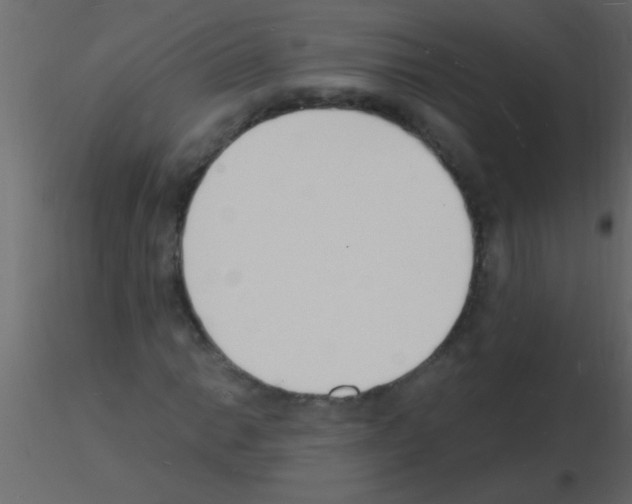 X0000115841014200912242012