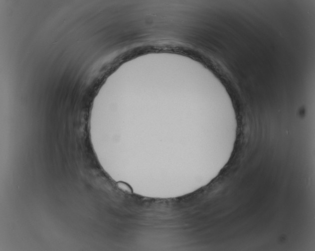 X0000115841016200912242012