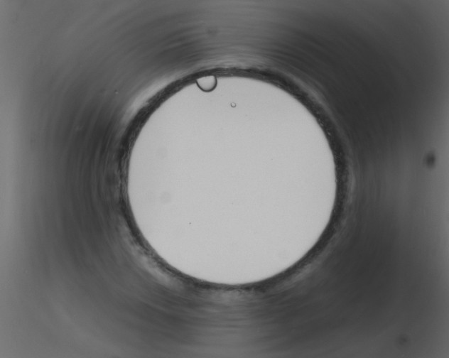 X0000115841018200912242012