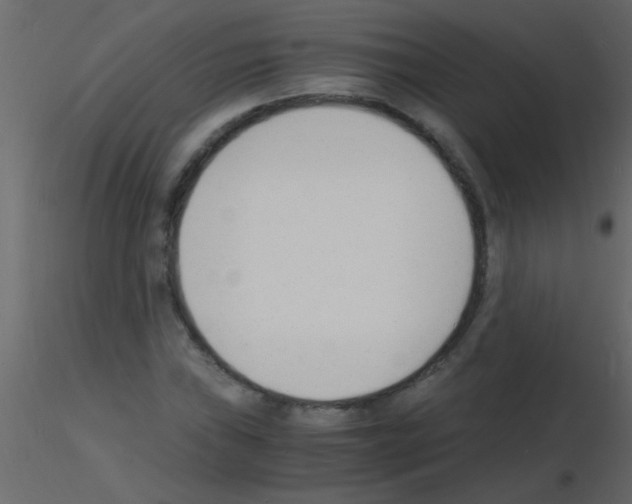 X0000115841019200912242012