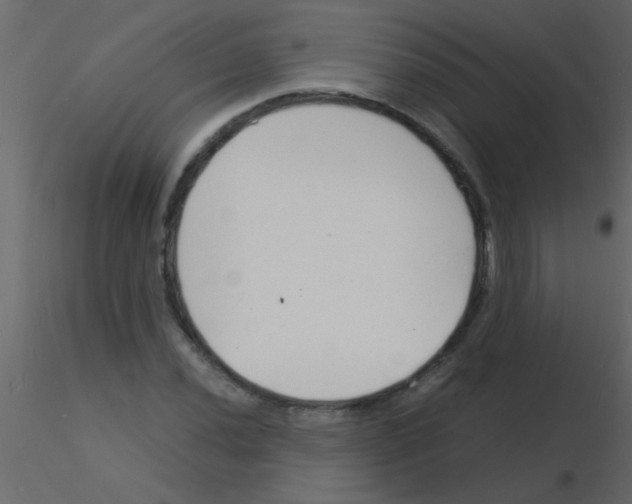 X0000115841020200912242012