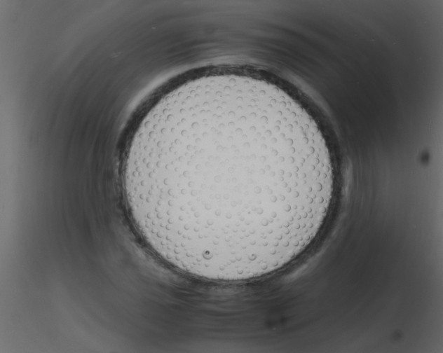 X0000115841021200912242012