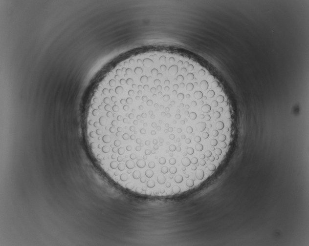 X0000115841022200912242012