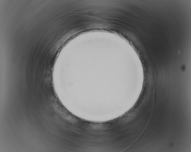 X0000115841025200912242012