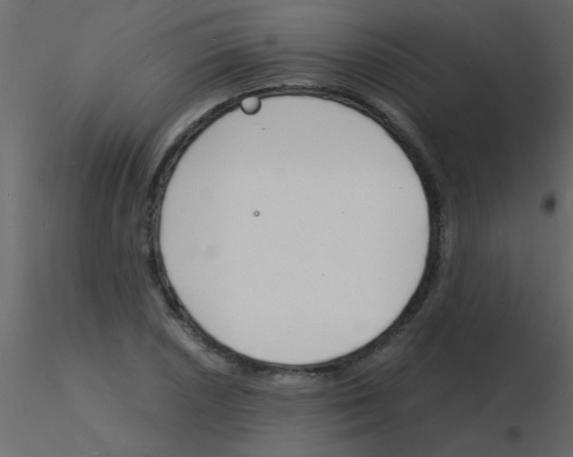 X0000115841026200912242012