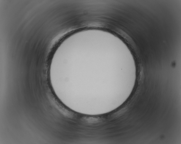 X0000115841027200912242012