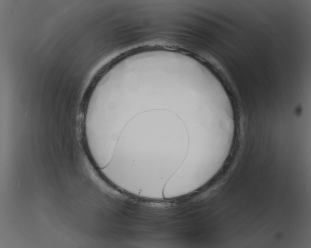 X0000115841029200912242012