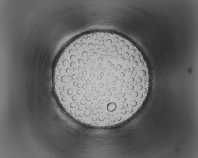 X0000115841030200912242012