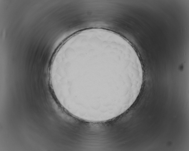 X0000115841032200912242012