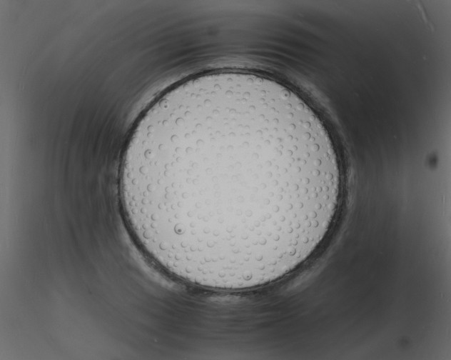 X0000115841033200912242012