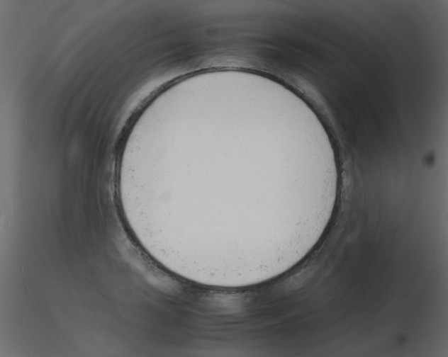 X0000115841035200912242012