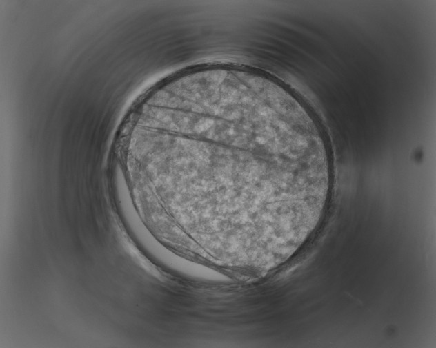 X0000115841037200912242012