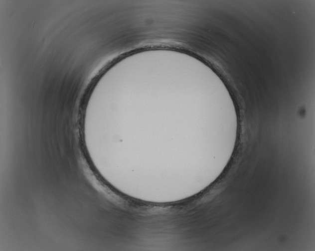 X0000115841038200912242012