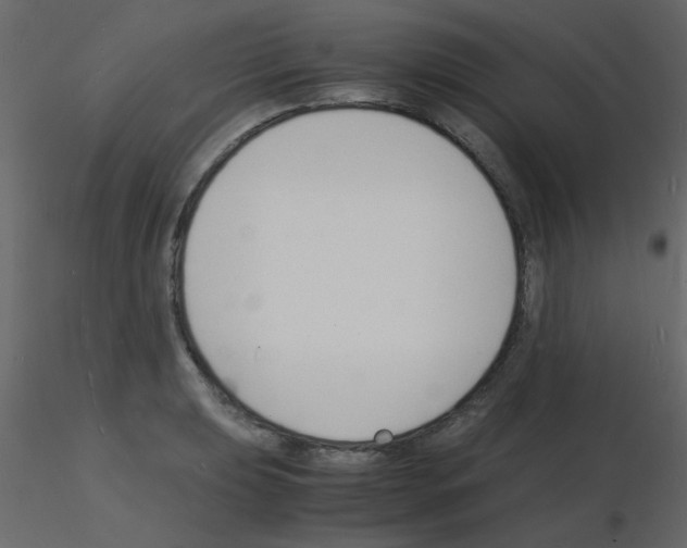 X0000115841039200912242012