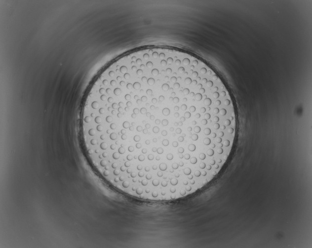 X0000115841040200912242012