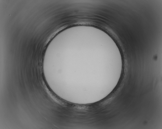 X0000115841041200912242012