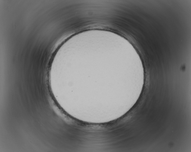 X0000115841042200912242012