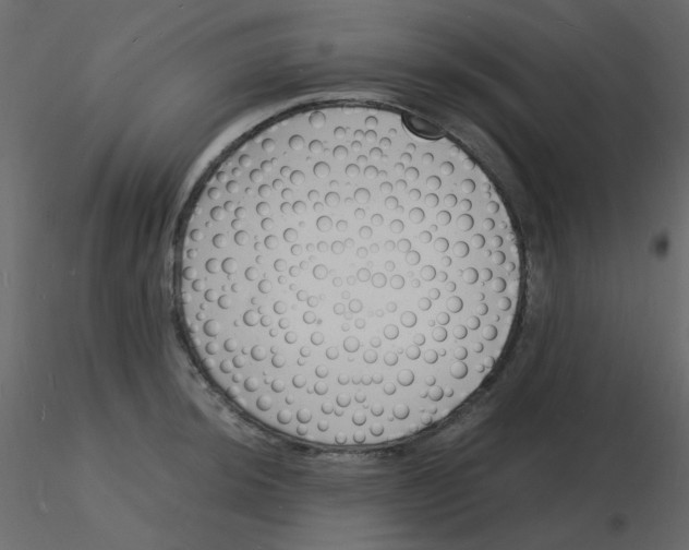 X0000115841044200912242013