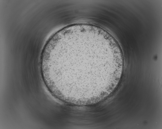 X0000115841045200912242013