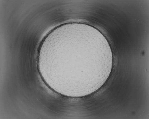 X0000115841046200912242013