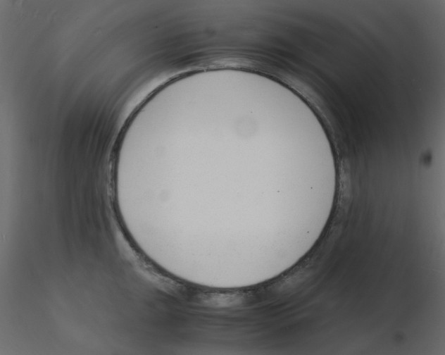 X0000115841047200912242013