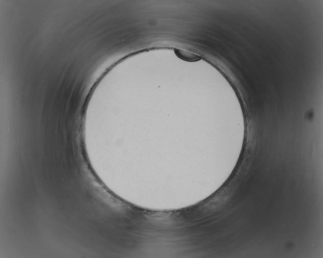 X0000115841048200912242013