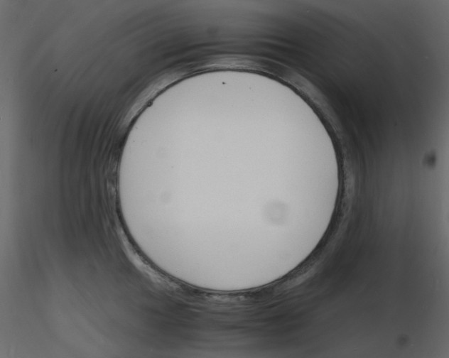 X0000115841049200912242013