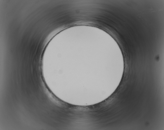 X0000115841050200912242013