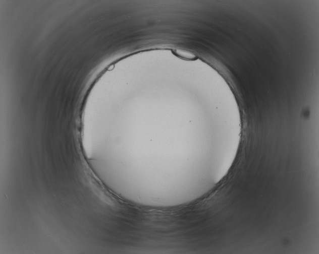 X0000115841051200912242013