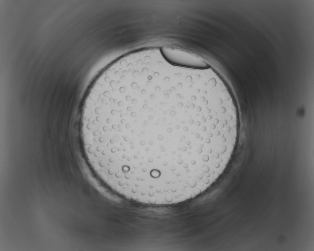 X0000115841053200912242013