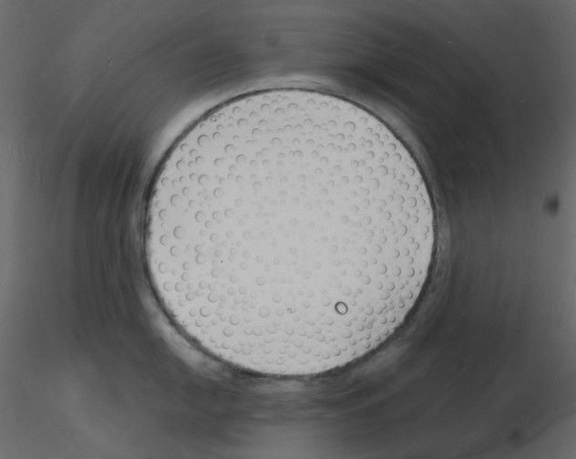 X0000115841054200912242013