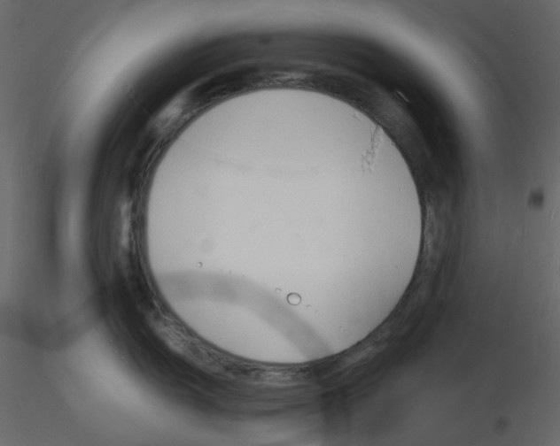 X0000115841055200912242013