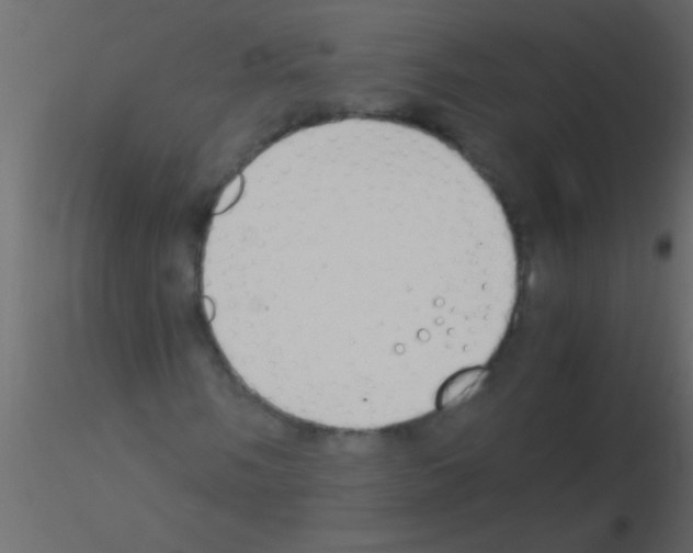 X0000115841058200912242012