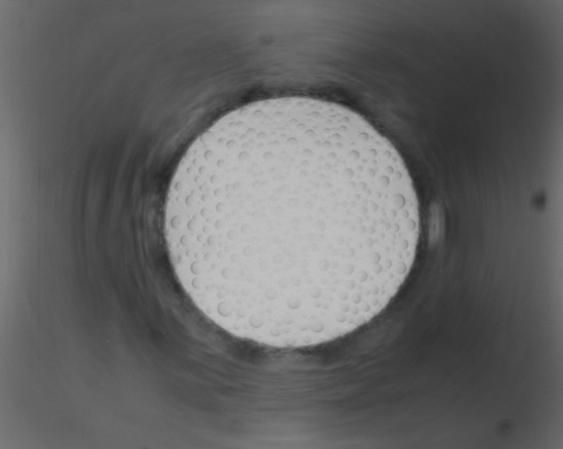 X0000115841059200912242012