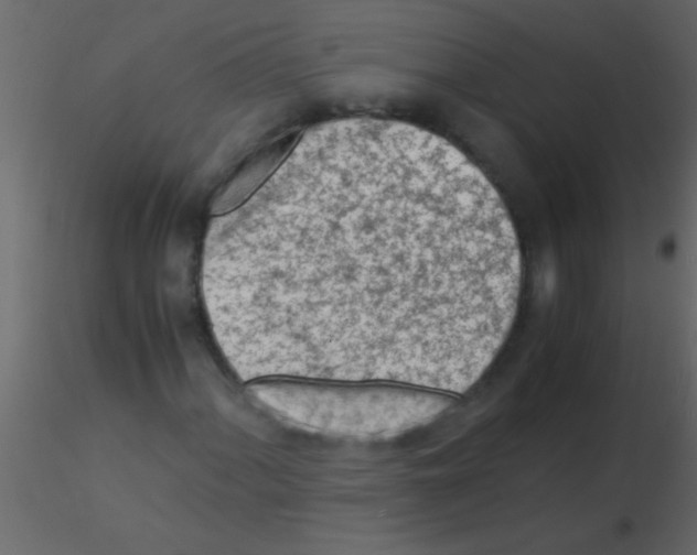 X0000115841060200912242012