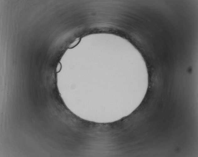 X0000115841062200912242012