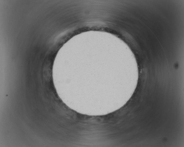 X0000115841063200912242012