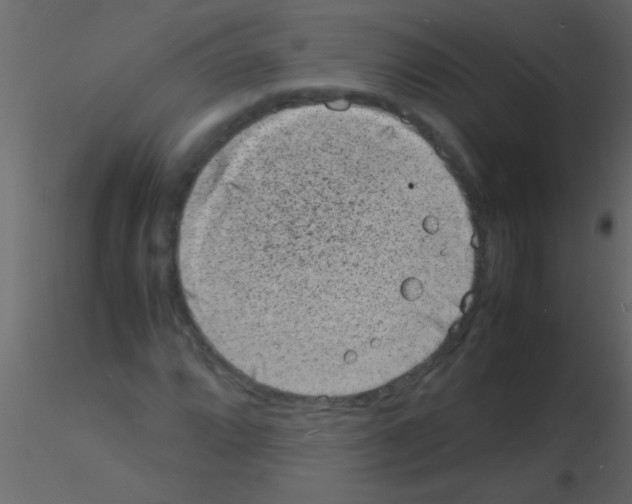 X0000115841064200912242012