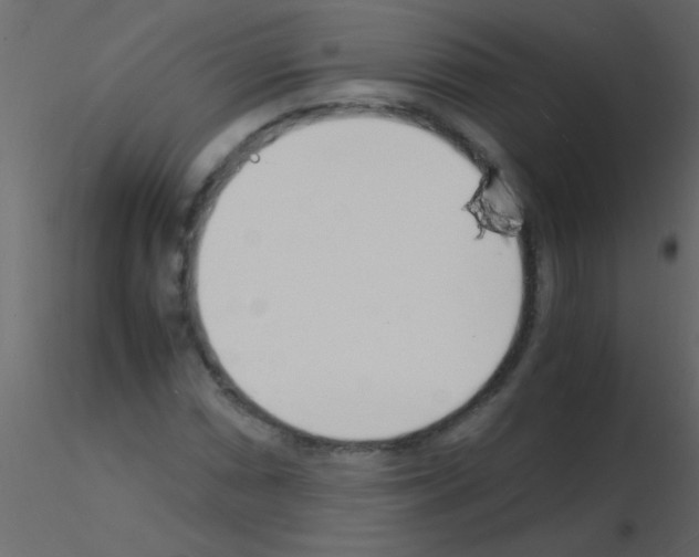 X0000115841066200912242012